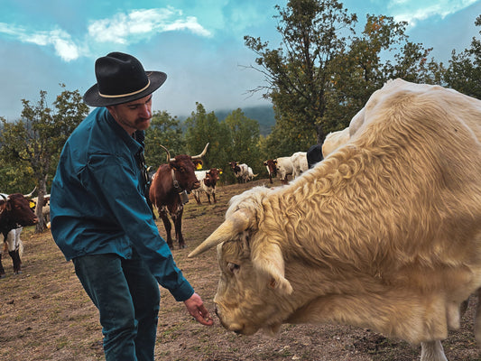Gira Corfo en España