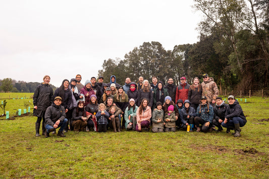 Parque Kura en El Quilvo: 400 árboles para la X Región 🌳