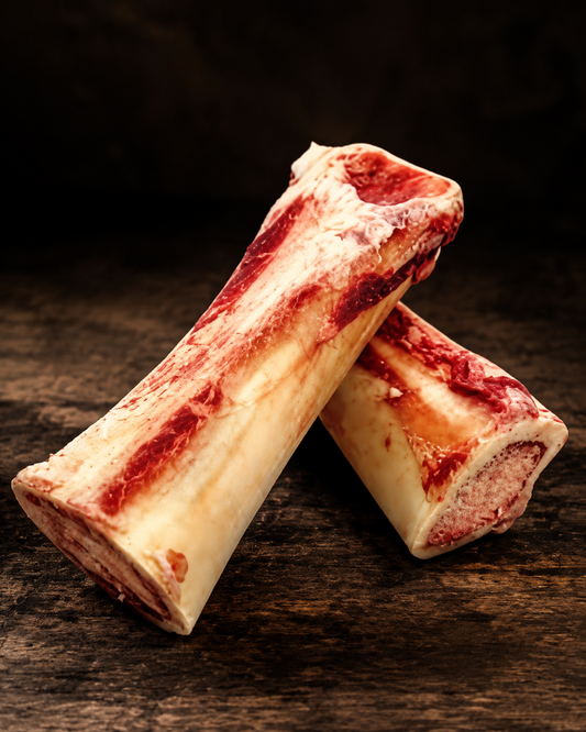 Hueso Pito (Femur)
